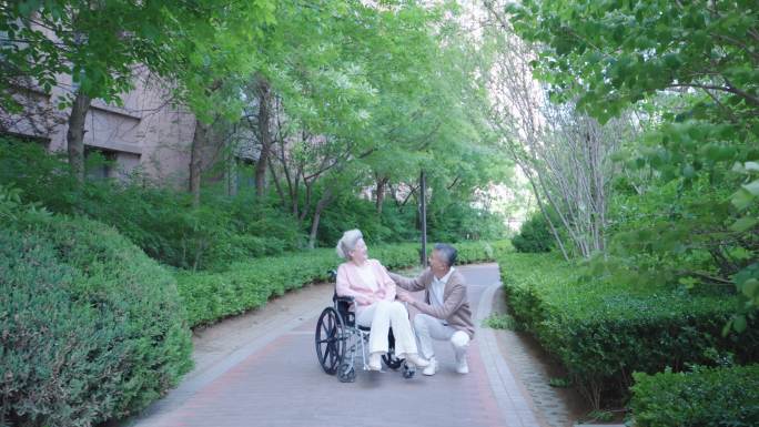 老人推轮椅 幸福生活