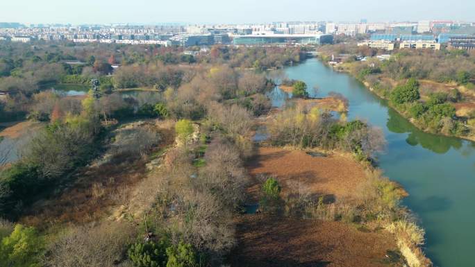 杭州市西湖区西溪湿地美景风景视频素材40