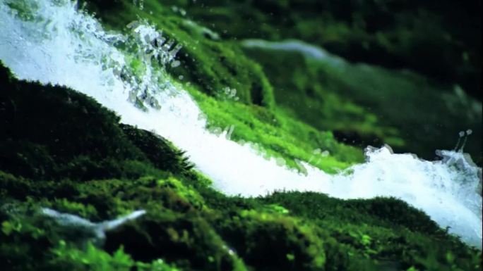 绿色秦岭 秦岭深处溪水瀑布。