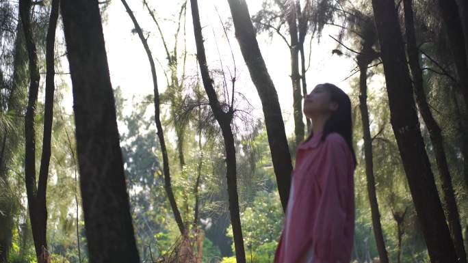 阳光下美女站在森林里感受自然的女孩抬头看