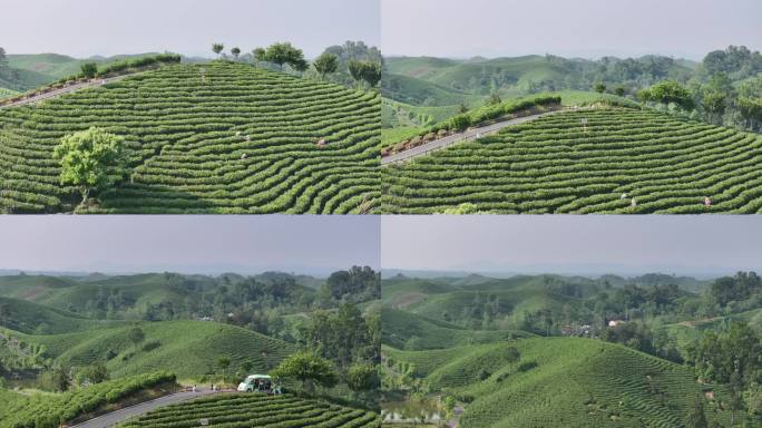 信阳茶山航拍