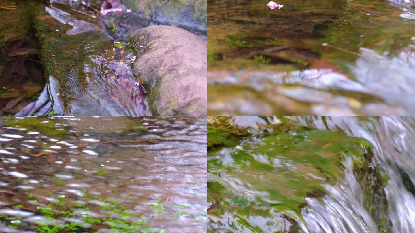 杭州植物园小溪流水风景视频素材94