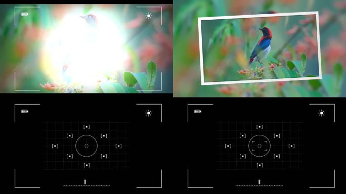 照相机快门拍照效果4Kae模板