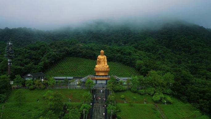 莲花山 大佛 瀑布 自然景色