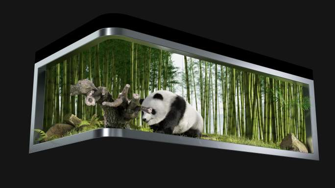 熊猫裸眼3d动画制作