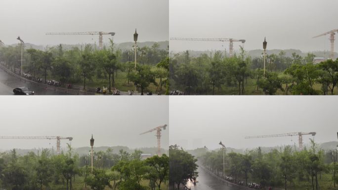 暴雨街道打雷阴天树木路人雨天