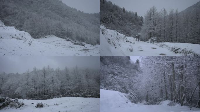 一组山林飘雪镜头