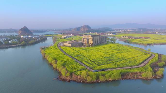 春天里的苏州太湖西山油菜花海自然风景航拍