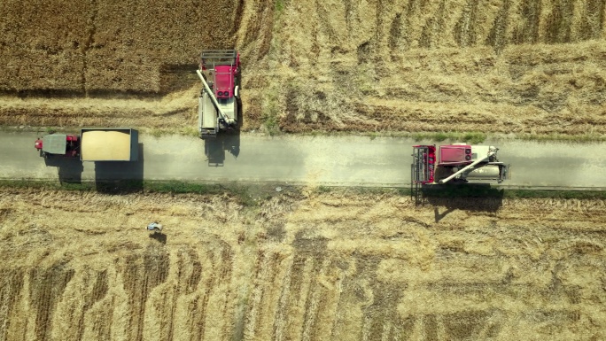 航拍粮食种植基地麦田种植