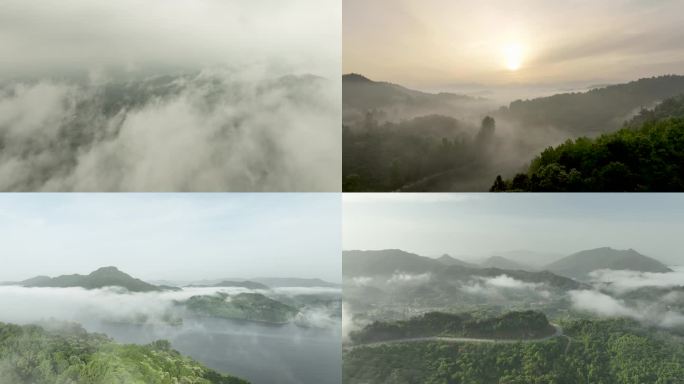 日出云海森林大山湖泊山水云雾风景延时大雾