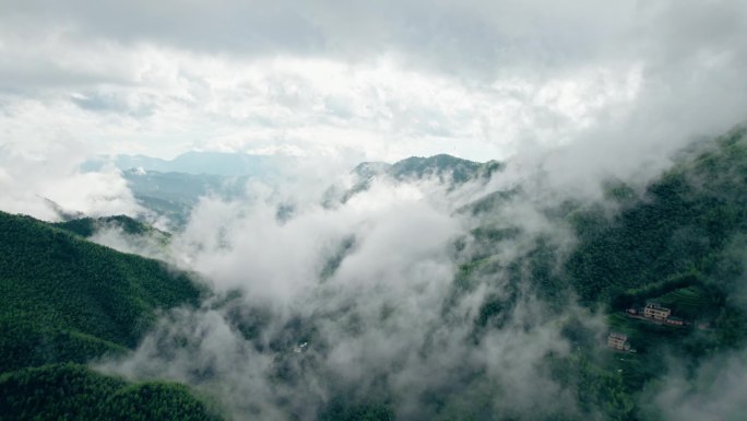 平塘马安 航拍竹海 航拍 竹林 氧吧