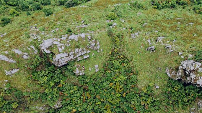 森林 大山 山川 航拍 原始森林