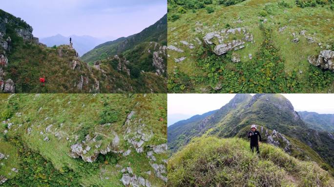 森林 大山 山川 航拍 原始森林