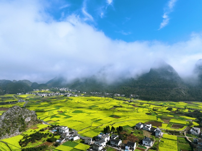 万峰林油菜花田4K延时