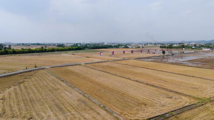 航拍四川广汉国家现代农业产业园4k