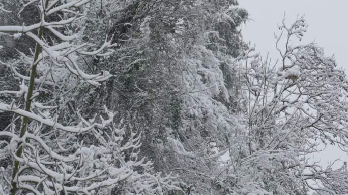 下大雪