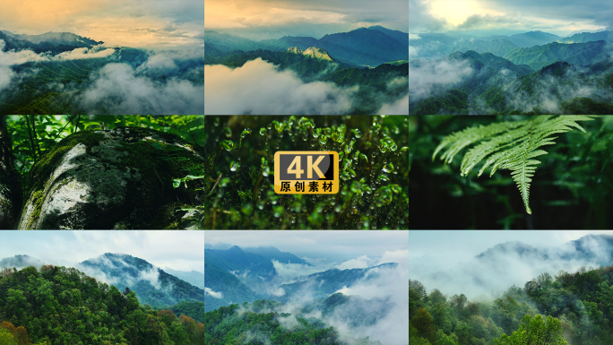 森林大自然流水风景树林山水自然山川