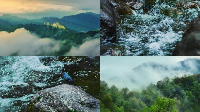 森林大自然流水风景树林山水自然山川