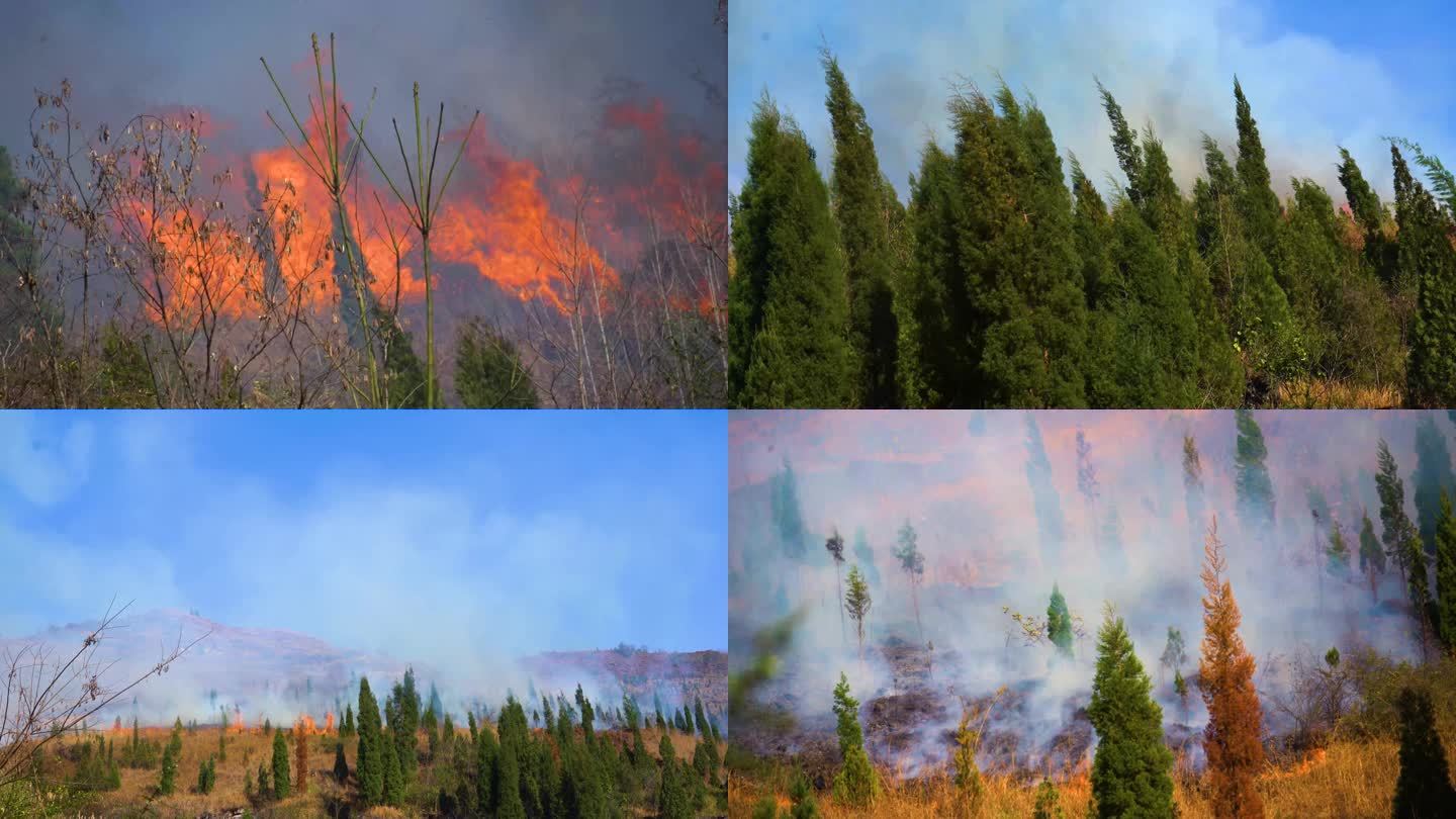 森林火灾大火山火起火自然灾害