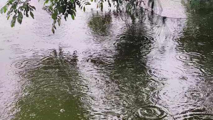 宁静水面背景水涟漪雨雨滴水滴雨中鱼塘雨滴