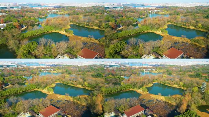 杭州西湖区西溪湿地自然风景视频素材90