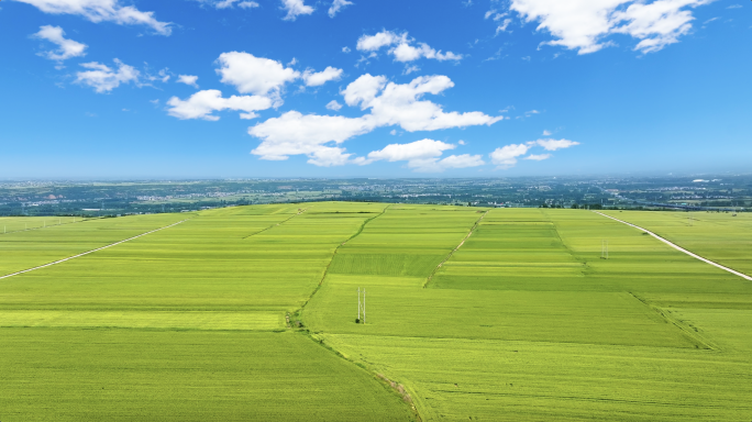 乡村振兴美丽乡村延时航拍