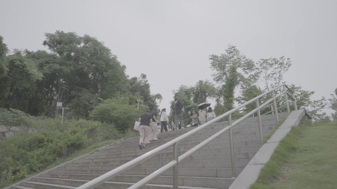 湖南省植物园灰片