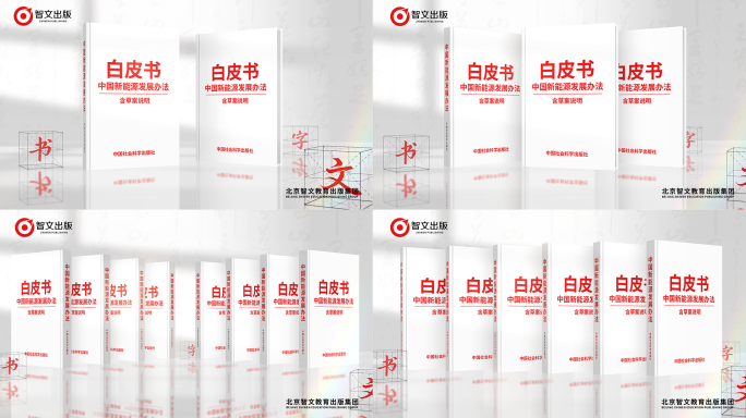 白皮书