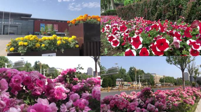 城市街景花卉