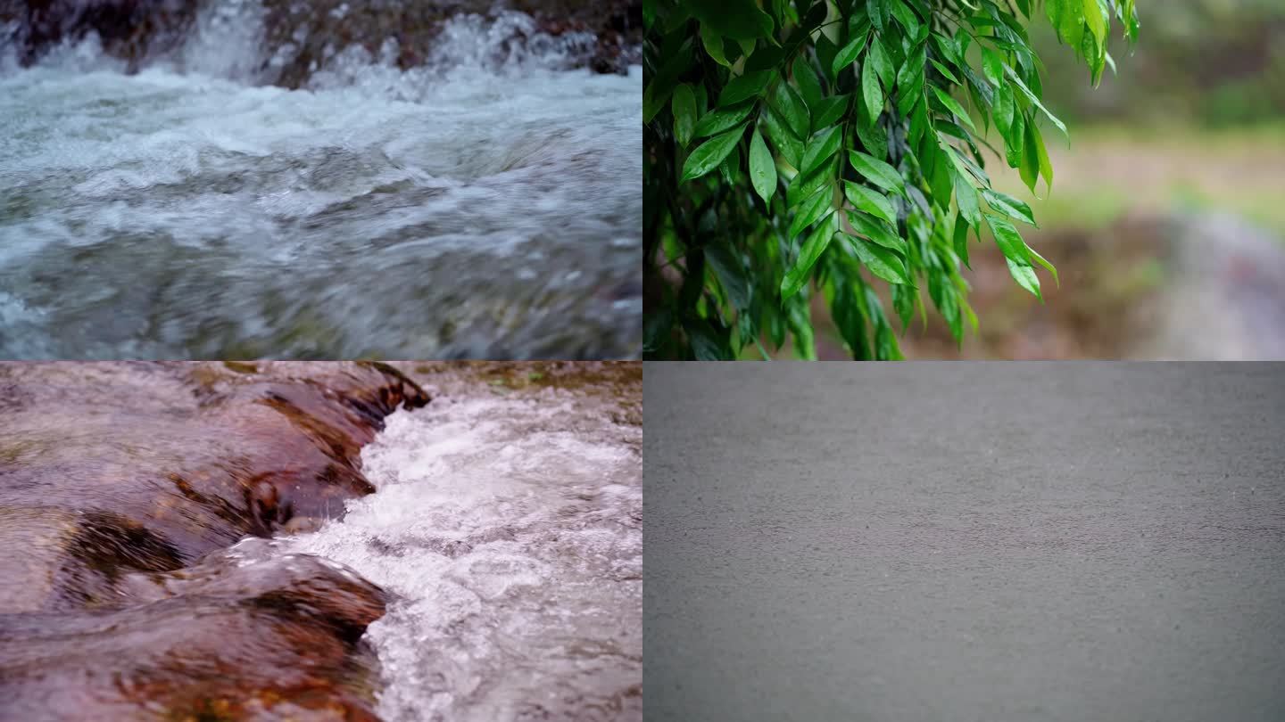 树叶滴水 雨水 清澈河道 河水小河