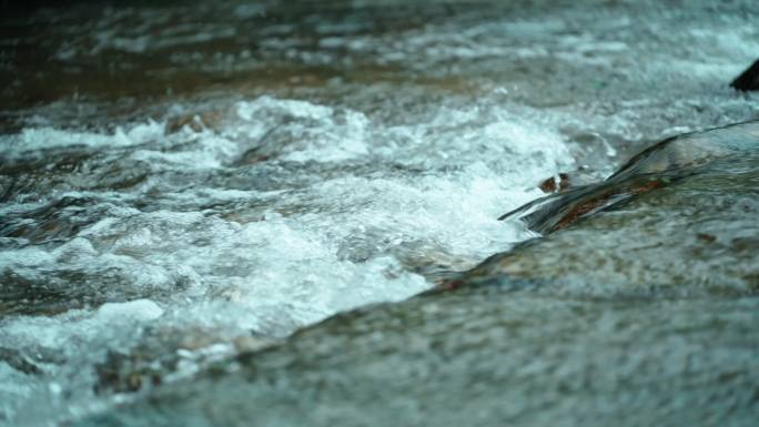 树叶滴水 雨水 清澈河道 河水小河