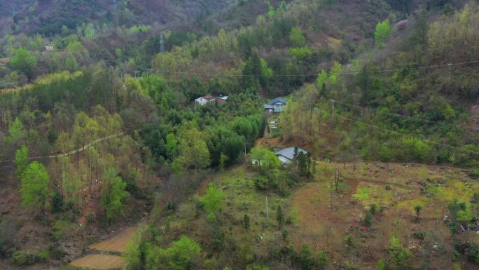 建在山上的房子桃花