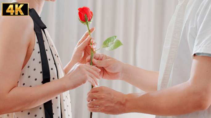 求婚素材情人节表白情侣送花送玫瑰七夕恋爱
