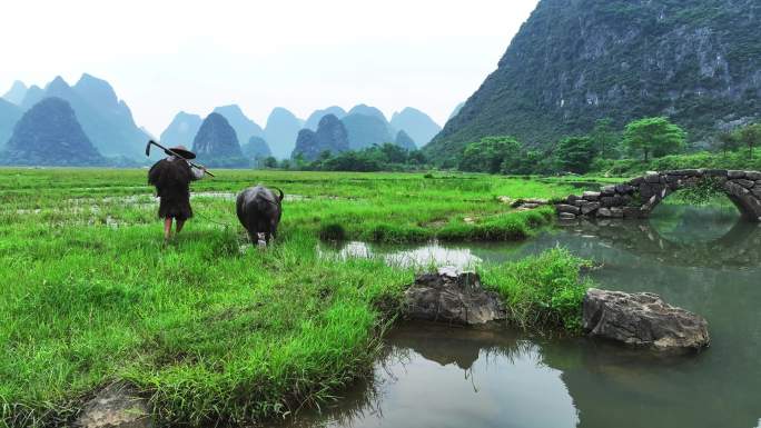 广西桂林状元桥 老人牵牛 意境风光