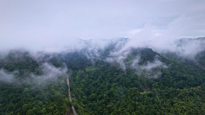 山区森林南昆山国家森林公园山村航拍
