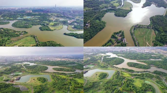 成都青龙湖 青龙湖湿地公园 青龙湖公园