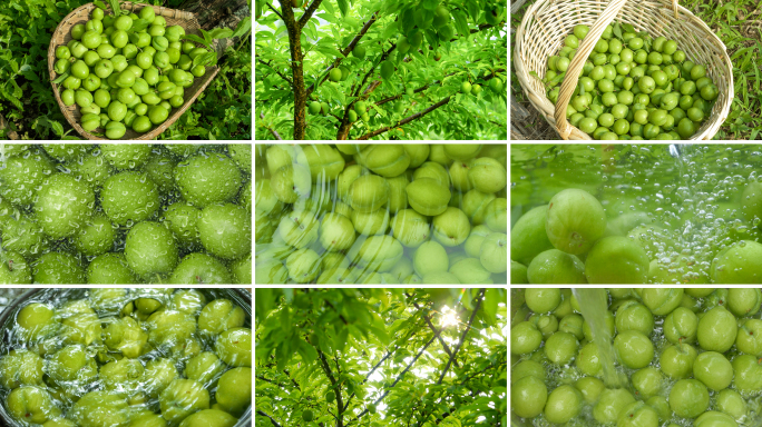 初夏治愈小清新水中青梅清洗慢动作