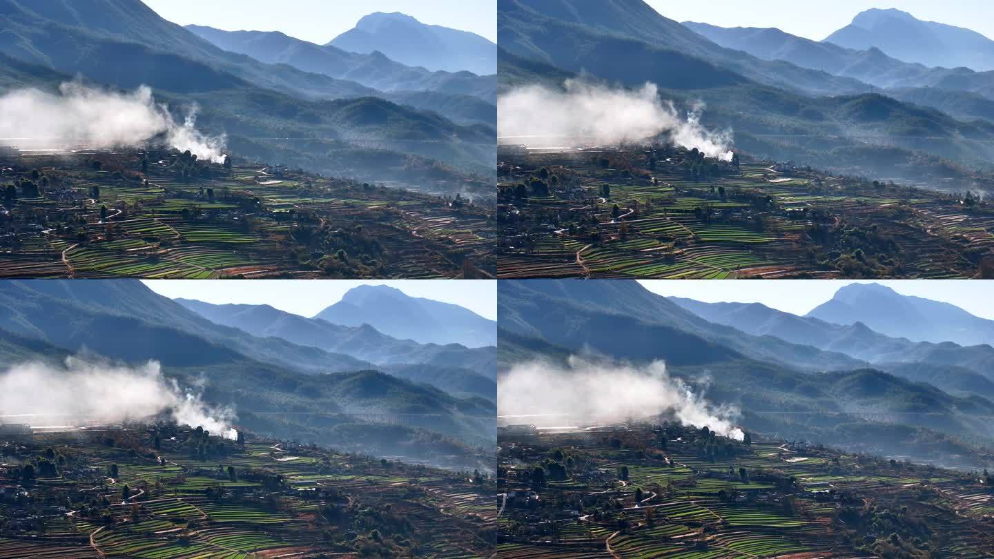 高原梯田晨雾 高山梯田 农业生态