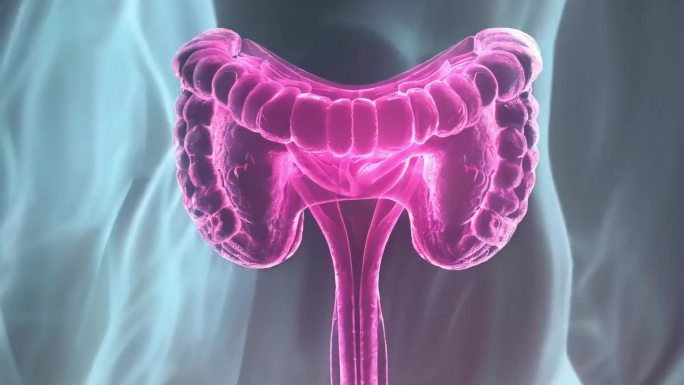 子宫卵巢妇科疾病