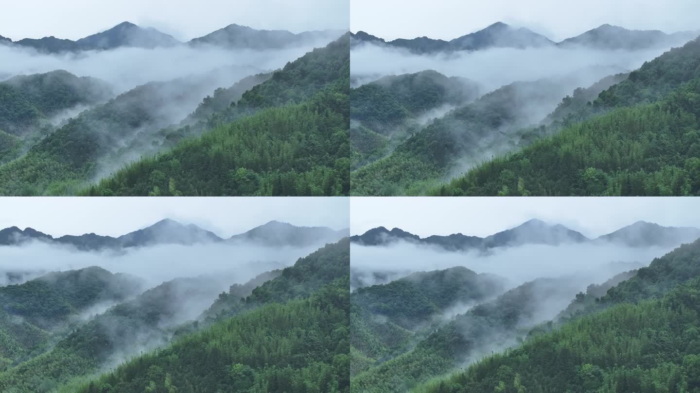 中国广东从化陈禾洞省级自然保护区