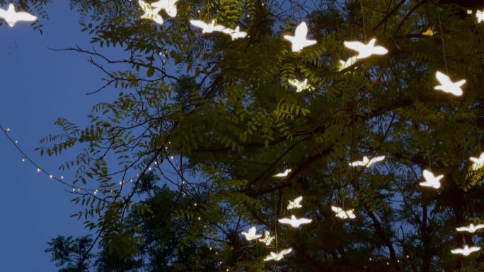 树木亮化飞鸟造型灯装饰2