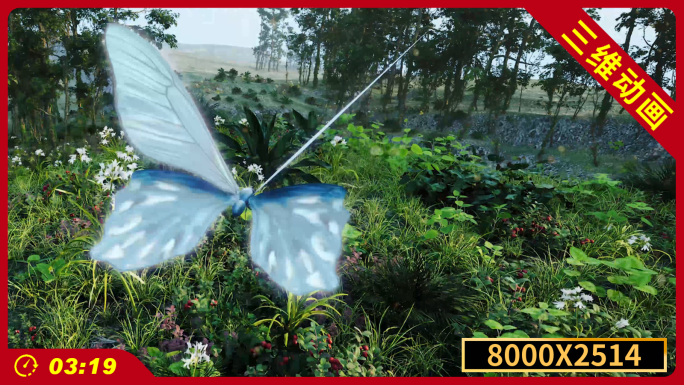 8K超宽屏沉浸式VR蝴蝶飞越森林曙光希望