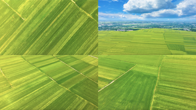 4k宁夏黄河河套平原航拍