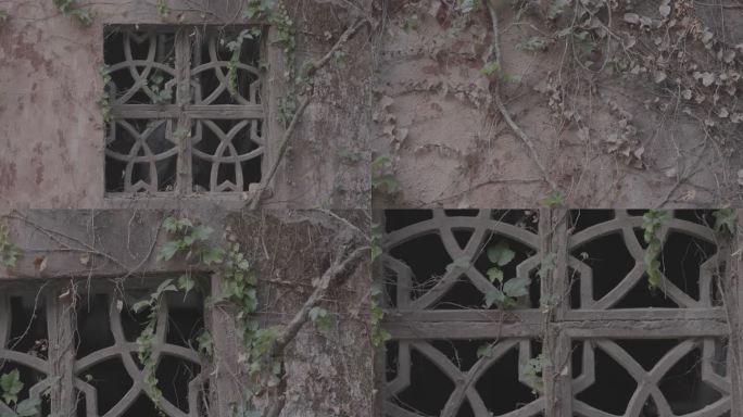 监牢藤蔓和窗户灰片