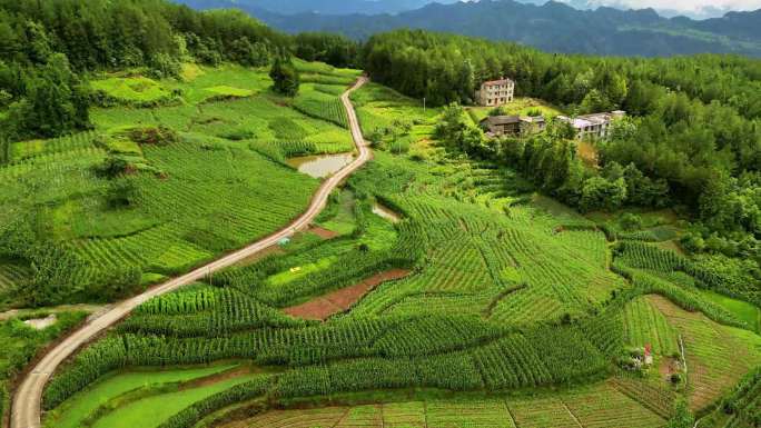 在那遥远的小山村