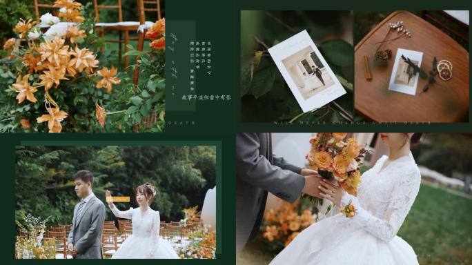 PR婚礼预告片模版8