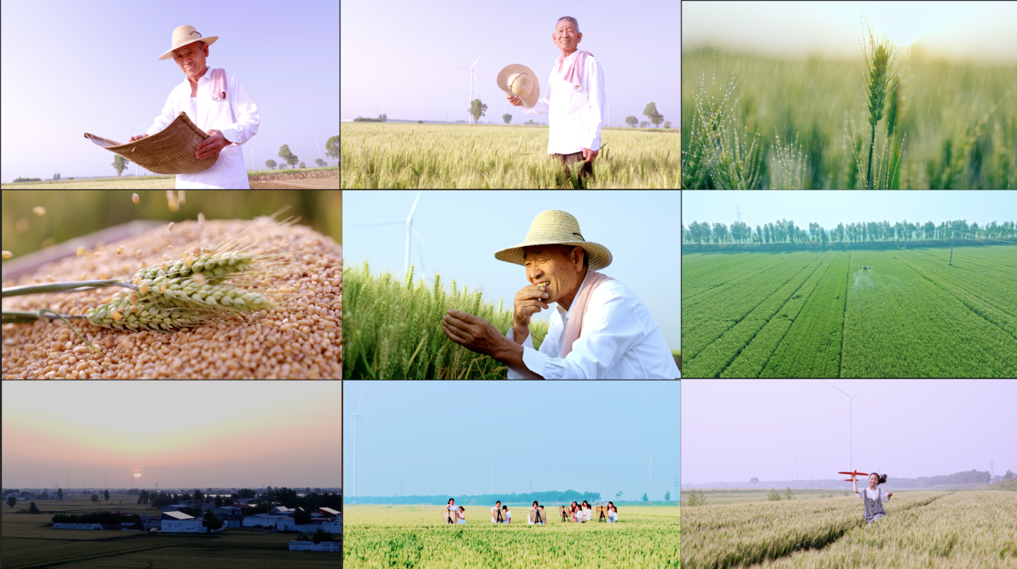 小麦丰收农民 麦田画画 儿童在麦田奔跑