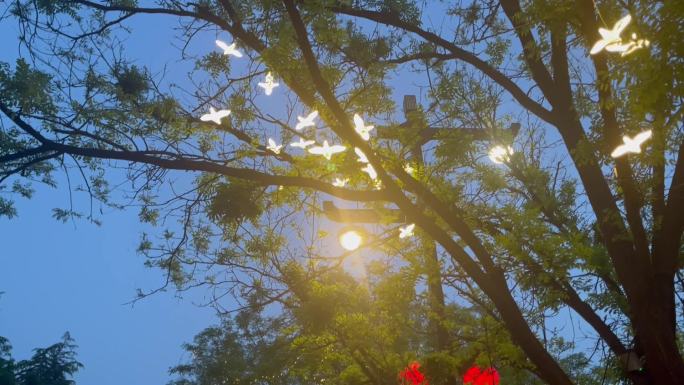 树木亮化飞鸟造型灯红灯笼装饰下摇