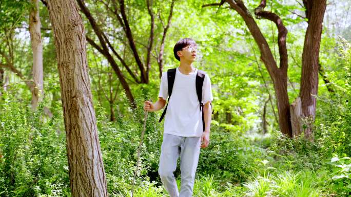 男孩在原始森林徒步 探索大自然