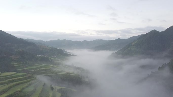 被云雾笼罩的云贵高原、苗族村落 航拍